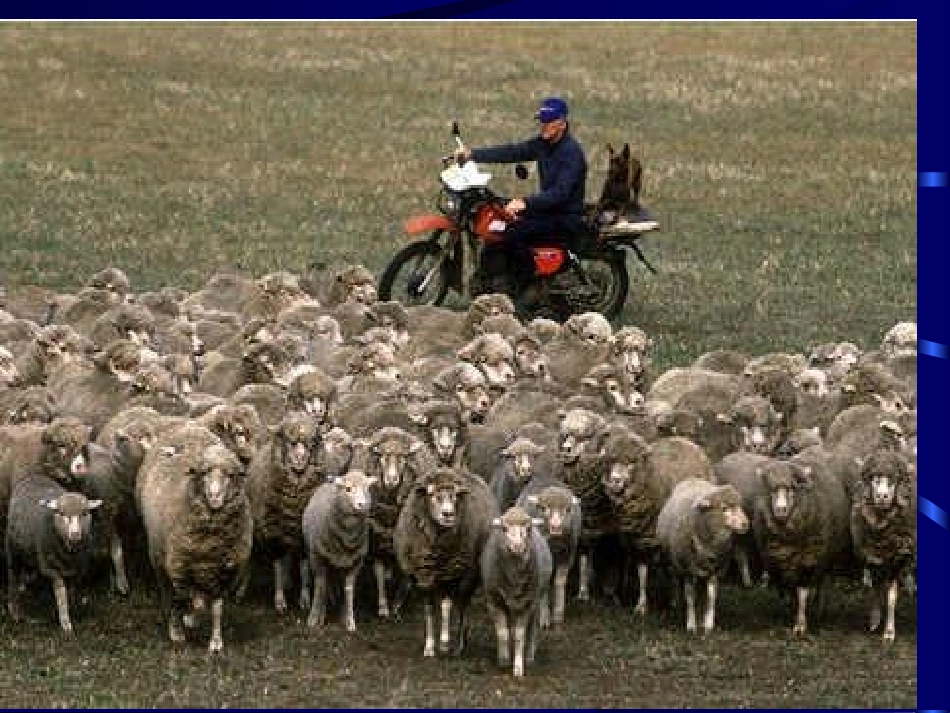 地理高考国家专题复习：澳大利亚_第3页