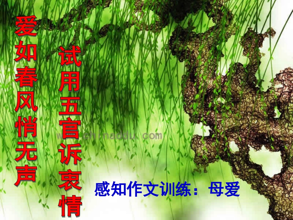 高考语文 作文指导感知作文训练课件 人教版 课件_第3页