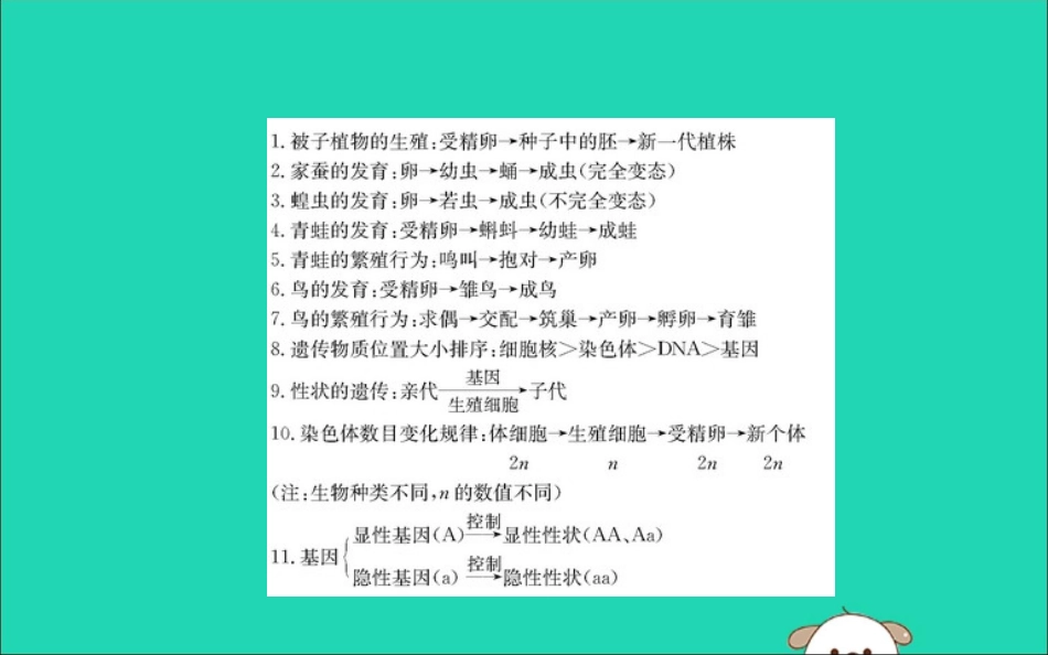 版八年级生物下册 期末抢分必胜课 常考流程图汇总课件 (新版)新人教版 课件_第2页