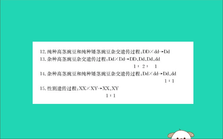 版八年级生物下册 期末抢分必胜课 常考流程图汇总课件 (新版)新人教版 课件_第3页