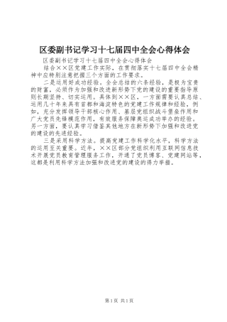 区委副书记学习十七届四中全会心得体会