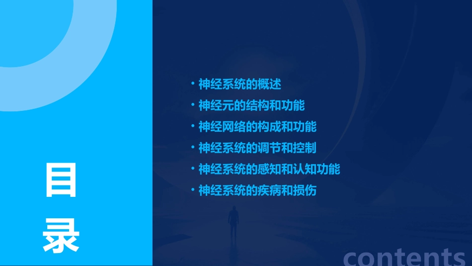 神经系统的结构和功能通用课件_第2页