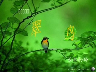 三年级下册语文《翠鸟》课件