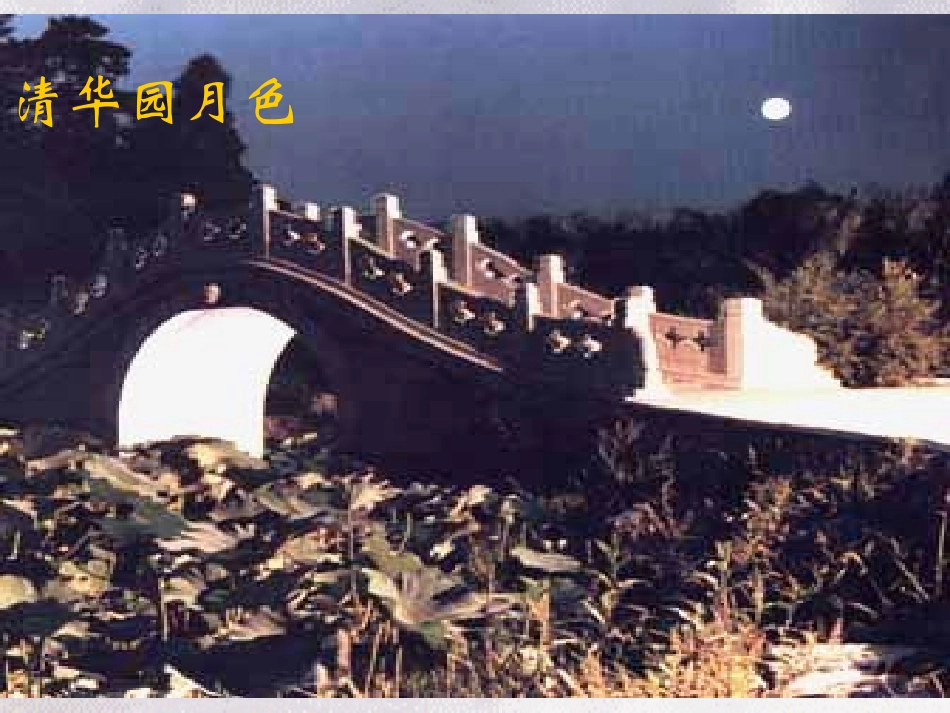 高中语文 第一单元之(荷塘月色)课件 新人教版必修2 课件_第3页