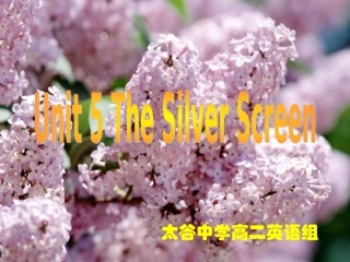 高一英语Unit5 The silver screen 人教版 课件