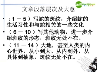 高中语文 斑纹课件 苏教版必修5 课件