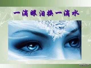 高一语文一滴眼泪换一滴水课件