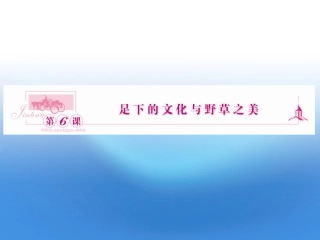 高中语文 第6课 足下的文化与野草之美课件同步导学 苏教版必修5 课件