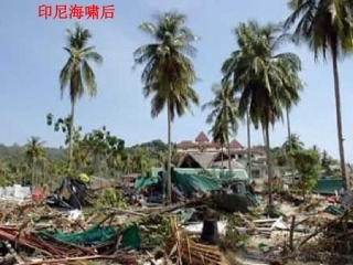 高中语文 第三专题(苦难中的尊严)课件 苏教版必修5 课件