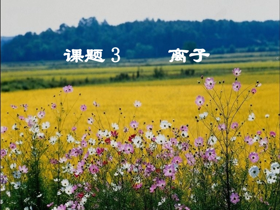 离子九年级化学课件 新课标 人教版 课件_第1页