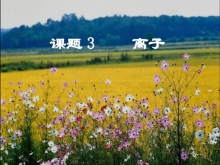 离子九年级化学课件 新课标 人教版 课件