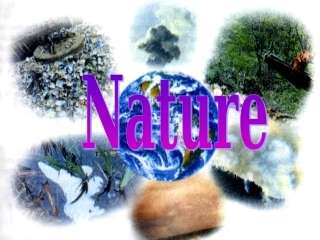 高中英语模块五第三单元 Project 课件人教版必修三 课件