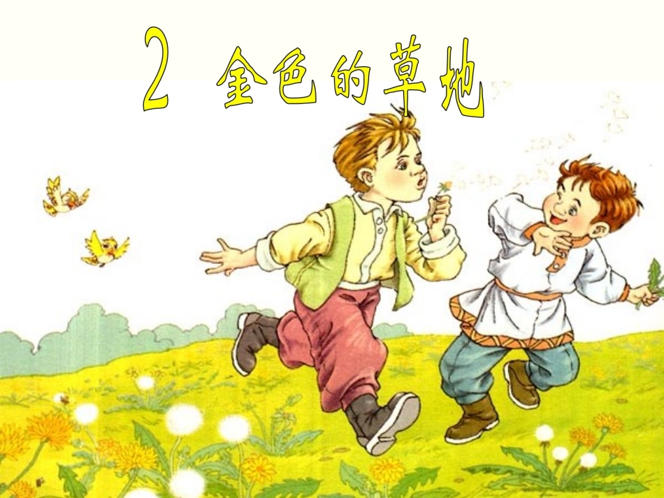 《金色的草地》课件1_第1页