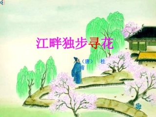 《江畔独步寻花》教学课件