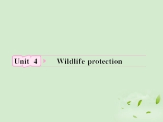 高考英语 Unit4知识与要点课件 新人教版必修2 课件