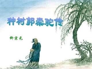 高二语文 种树郭橐驼传课件 华东师大版 课件
