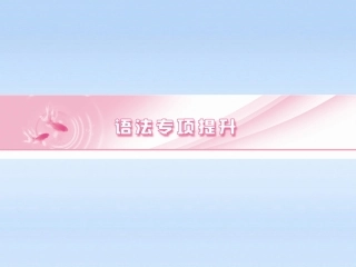 高考英语 语法专项提升名词课件