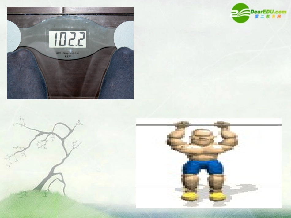 高中英语 unit1 food in the United States-speaking课件 上海新世纪版S2A 课件_第2页