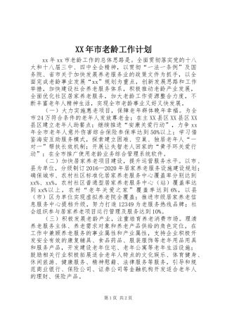 XX年市老龄工作计划 