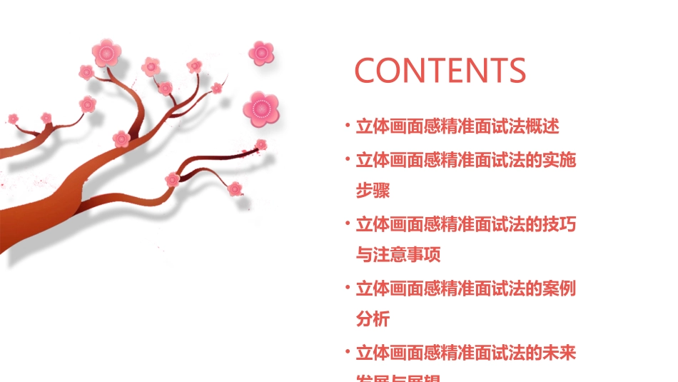 立体画面感精准面试法课件_第2页