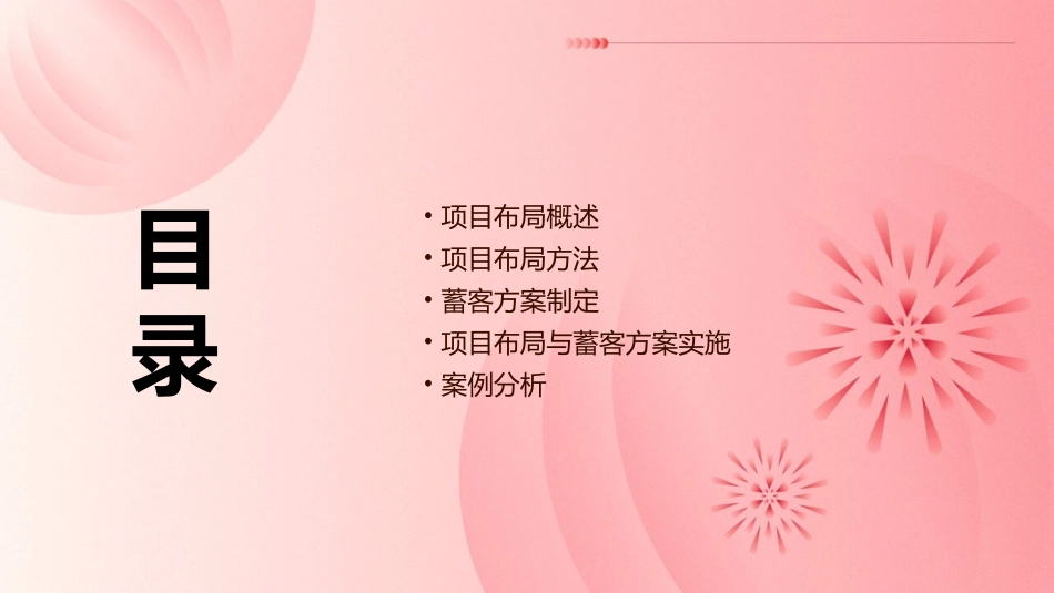 项目布局及蓄客方案课件_第2页