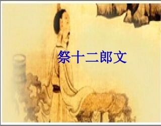 高二语文祭十二郎文课件示例 课件