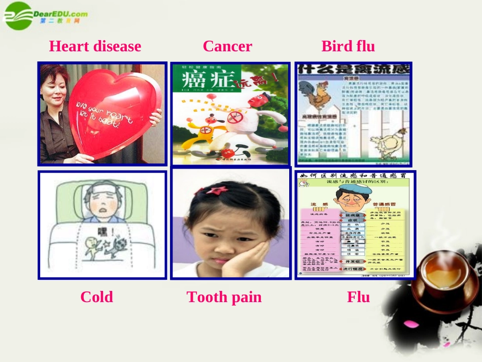 高三英语 unit 9integrating skills课件 人教版 课件_第3页
