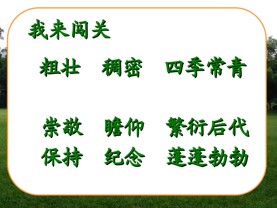 宋庆龄故居的樟树课件 (2)_第2页