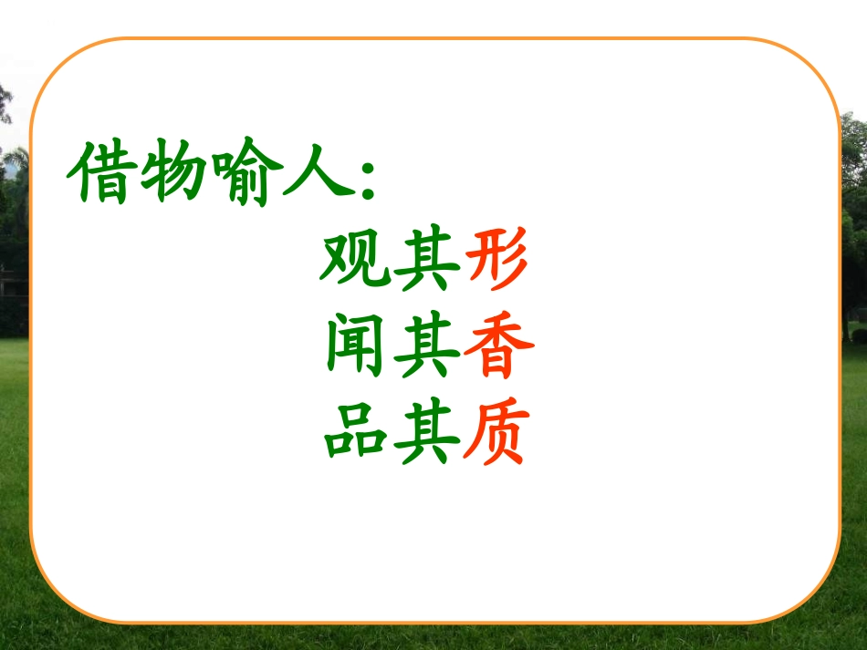 宋庆龄故居的樟树课件 (2)_第3页