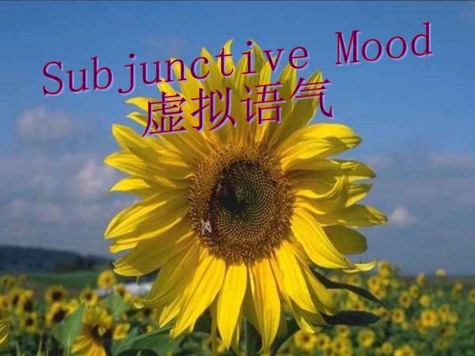 高中英语虚拟语气课件 人教版 课件_第1页