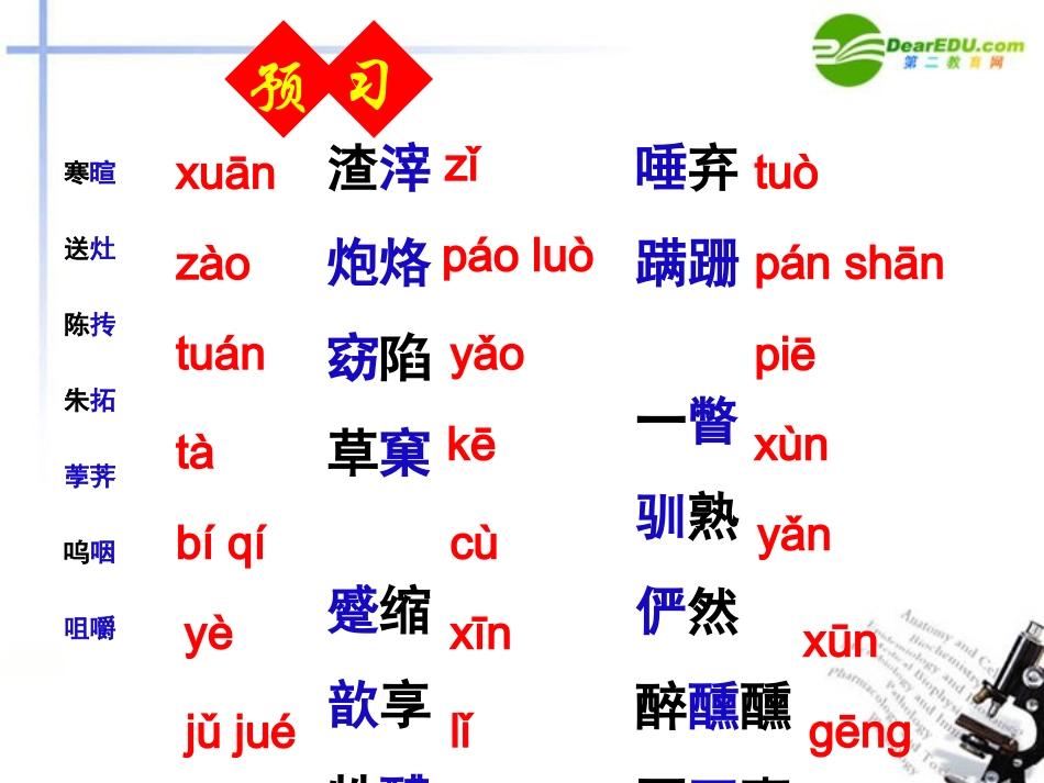 高中语文 第四专题(祝福)课件 苏教版必修2 课件_第2页