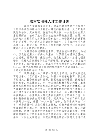 农村实用性人才工作计划 