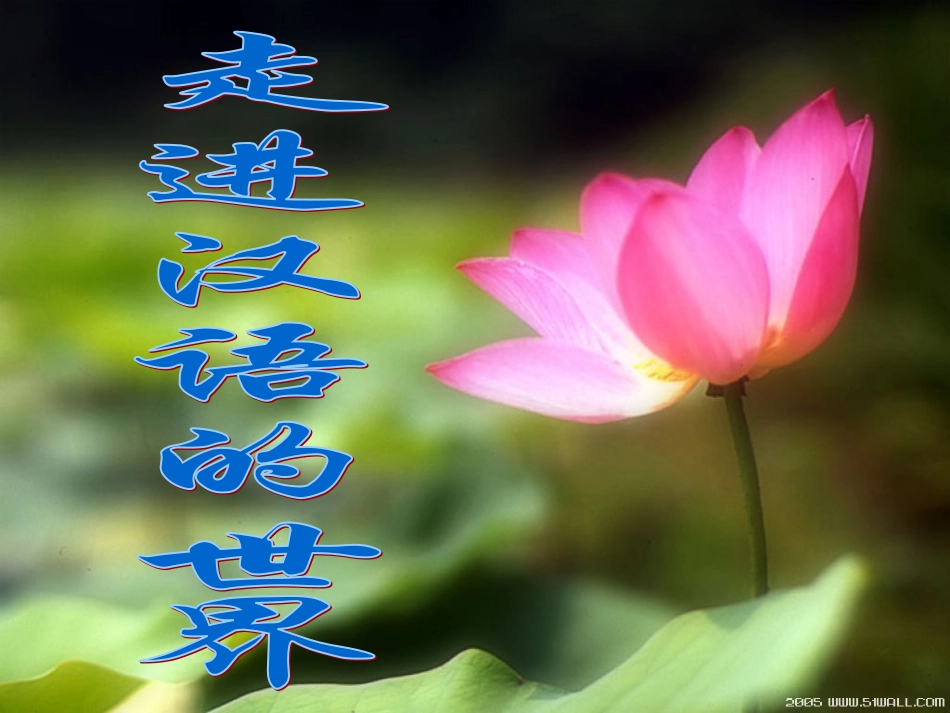 高中语文 四方异声——普通话和方言课件 人教选修之(语言文字应用) 课件_第1页