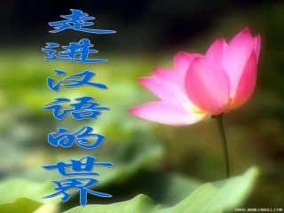 高中语文 四方异声——普通话和方言课件 人教选修之(语言文字应用) 课件