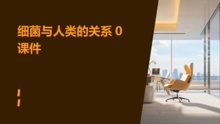 细菌与人类的关系0课件