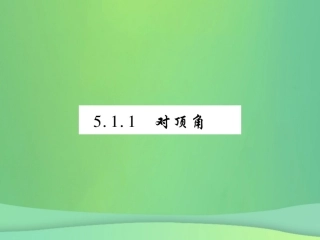 秋七年级数学上册 第5章 相交线与平行线 5.1 相交线 5.1.1 对顶角练习课件 (新版)华东师大版 课件