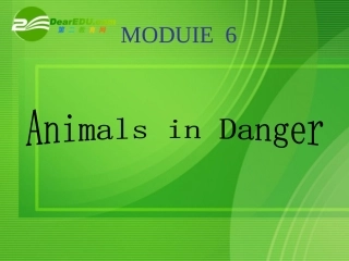 高中英语：Module6 Animals in danger课件外研版必修5 课件