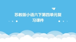 苏教版小语六下第四单元复习课件
