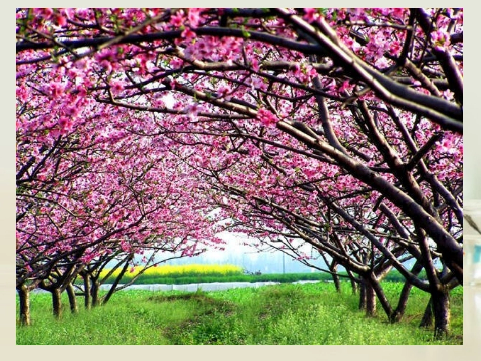 高中语文 归园田居其一课件4 新人教版必修2 课件_第2页