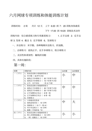 六月网球专项训练和体能训练计划