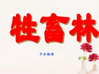 高中语文(牲畜林)课件4 新人教版选修 课件