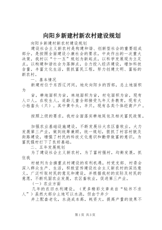 向阳乡新建村新农村建设规划 