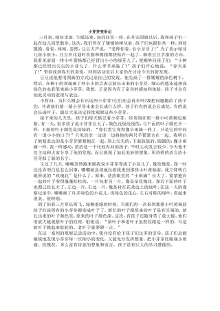 小芽芽变形记