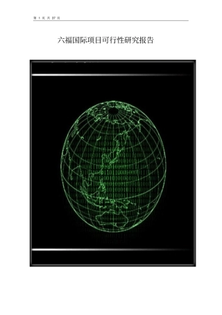 六福国际项目可行性研究报告优秀可研报告