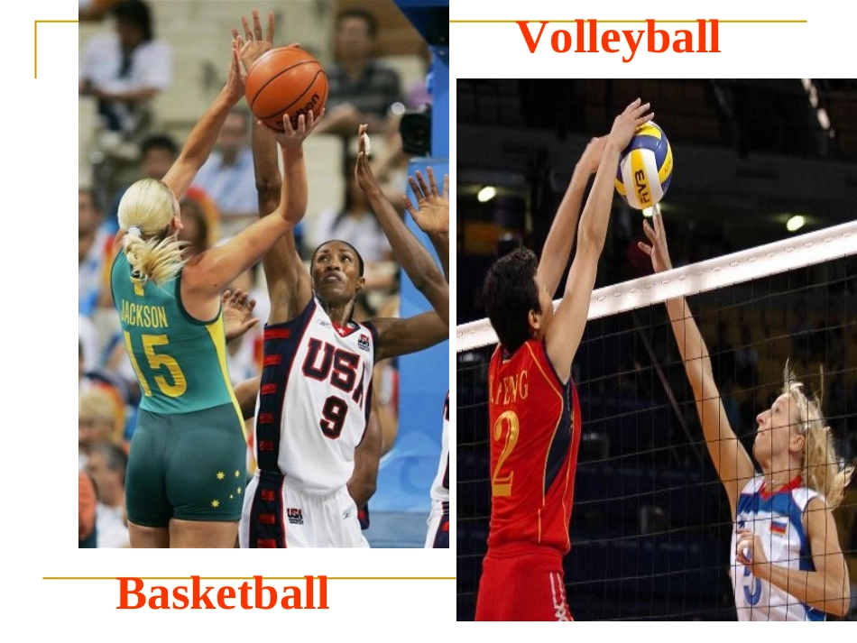 高一英语Unit8 Sports[整理]人教版 课件_第3页