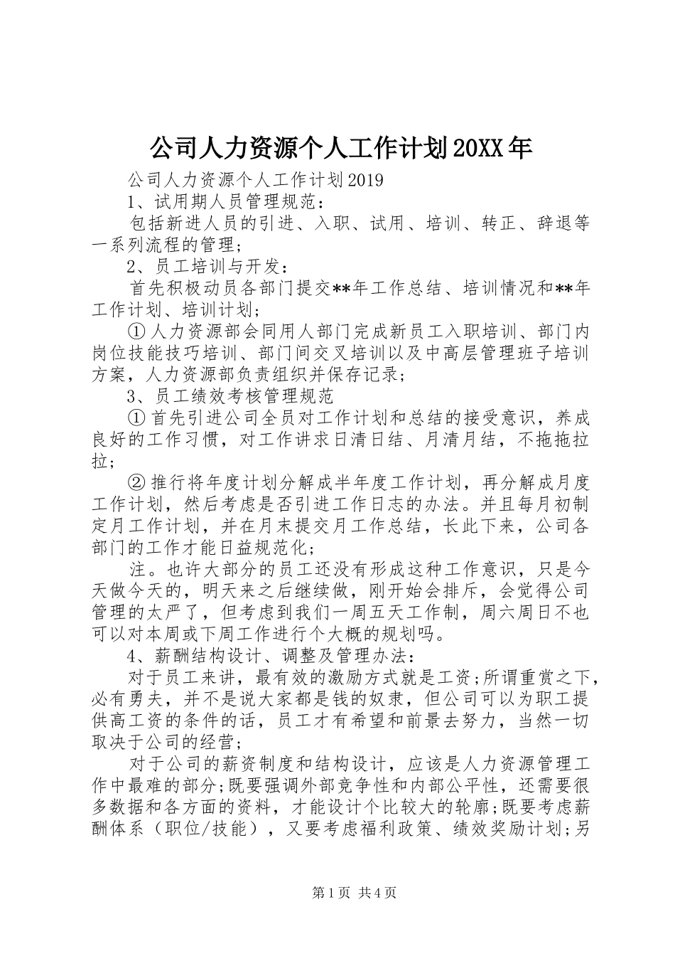 公司人力资源个人工作计划20XX年_第1页
