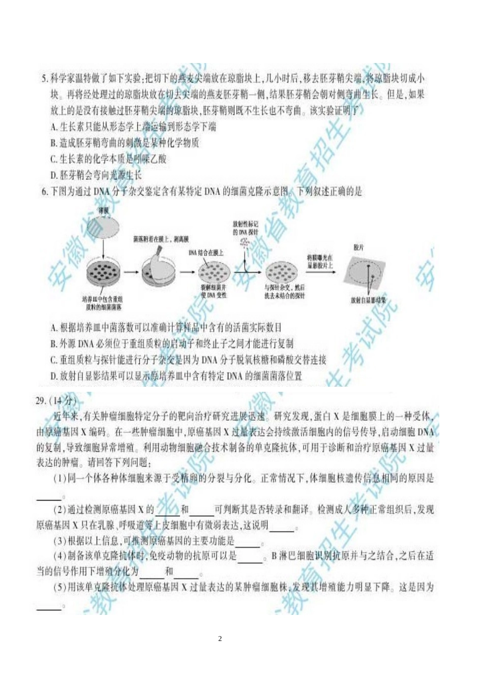 2013安徽省高考理科综合生物试题及答案_第2页
