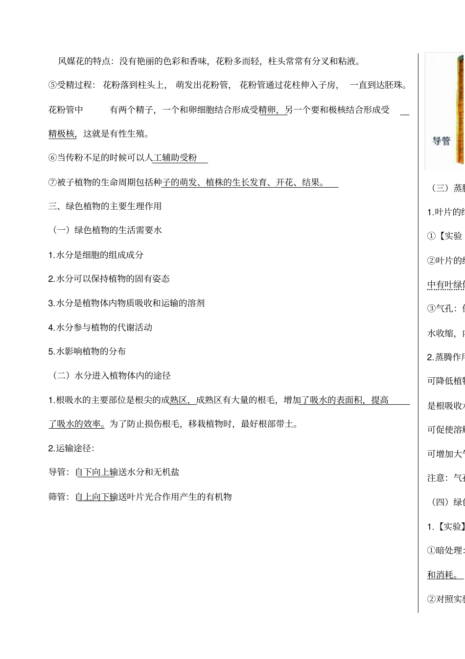 六级下册生物复习提纲_第3页