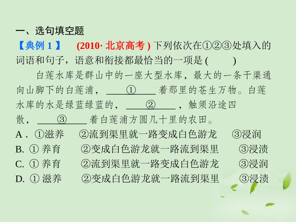 高考语文总复习 专题十二 句式及修辞精品课件 新人教版 课件_第2页