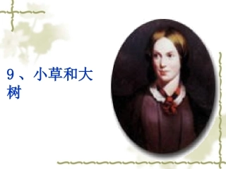 《小草和大树》